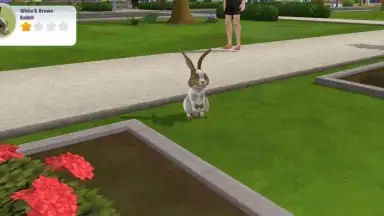Captura de tela de Virtual Sim Story: Dream Life 5