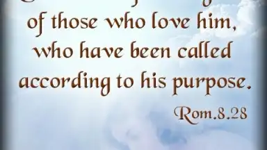 Captura de tela de Bible Quotes Live Wallpaper 6