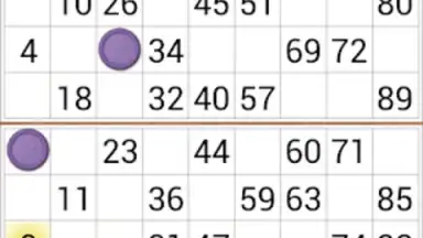 Captura de tela de Loto Online 6