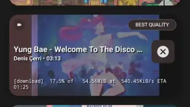 Captura de tela de YTDLnis 8