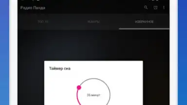 Captura de tela de Радио Панда 1