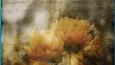 Captura de tela de Secret Notes2 8