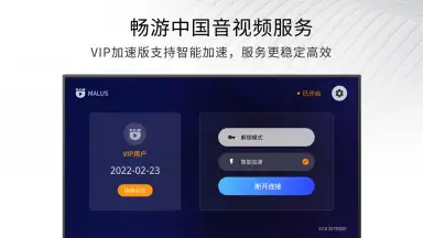 Captura de tela de Malus VPN for TV 1