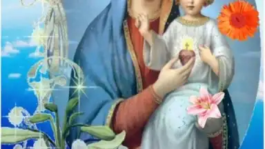 Captura de tela de Virgin Mary 5
