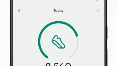 Captura de tela de Fitbit 1