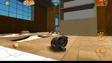 Captura de tela de Cat Simulator 4