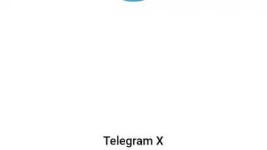 Captura de tela de Telegram X 7