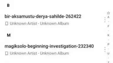 Captura de tela de Music (AllSaints) 8