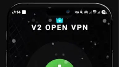 Captura de tela de V2 VPN 1