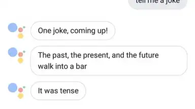 Captura de tela de Google Assistant Go 1
