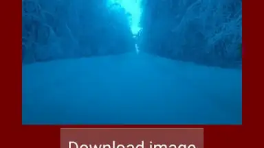 Captura de tela de Скачать картинку видео из инстаграм 5