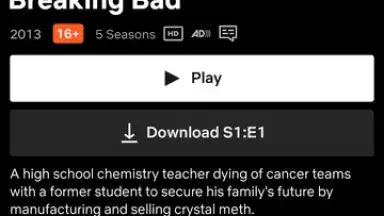 Captura de tela de Netflix (Android TV) 15
