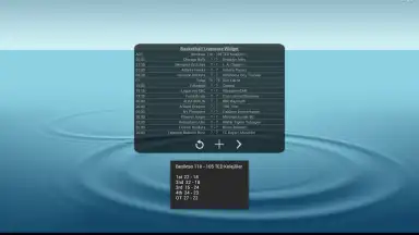 Captura de tela de Basketball Livescore Widget 5