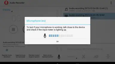 Captura de tela de Audio Recorder 1