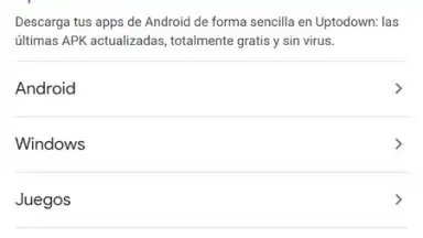 Captura de tela de Google App 8