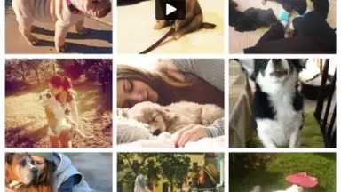 Captura de tela de We Heart It 2