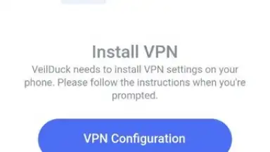 Captura de tela de Veilduck VPN 5