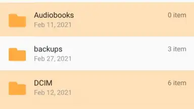 Captura de tela de FM File Manager 1