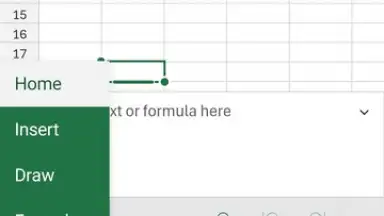 Captura de tela de Microsoft Excel 10