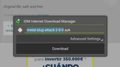 Captura de tela de IDM 7