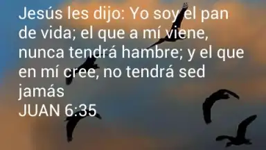Captura de tela de Promesas 7