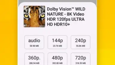 Captura de tela de Vidora YouTube Downloader | free & fast 13