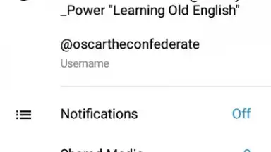 Captura de tela de Via Messenger - Unofficial Telegram App 18