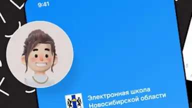 Captura de tela de Дневник Новосибирской области 15