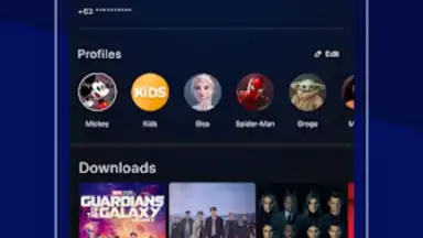Captura de tela de Disney+ Hotstar 8