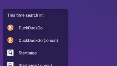 Captura de tela de Tor Browser 4