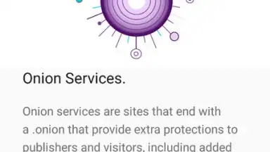 Captura de tela de Tor Browser 19