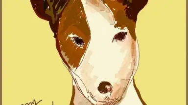 Captura de tela de S Memo 2
