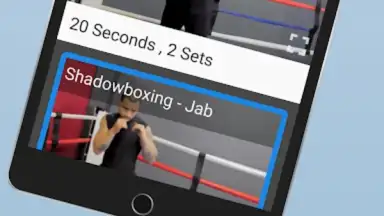Captura de tela de Ultimate MMA Fighting Program 3