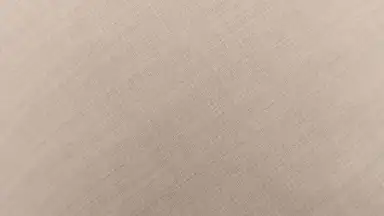 Captura de tela de HedgeCam 2 4