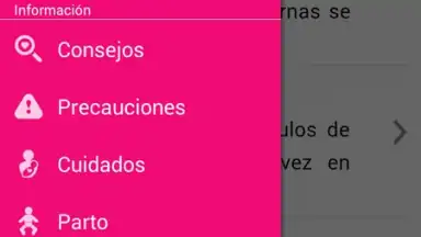 Captura de tela de Semanas Embarazo 2