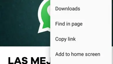 Captura de tela de Noura Browser 1
