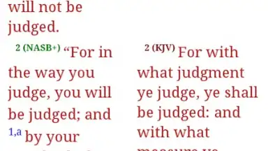 Captura de tela de Bible-Discovery 8
