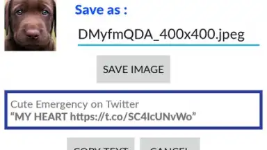 Captura de tela de Video Downloader for Twitter 1