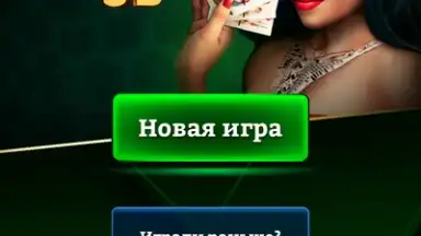 Captura de tela de Durak Online 3D 1