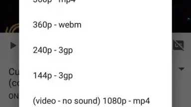 Captura de tela de VidCatch 1