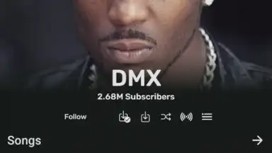 Captura de tela de RiMusic 5