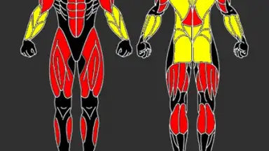 Captura de tela de GymUP 2