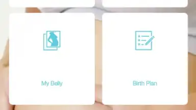 Captura de tela de Pregnancy + 11