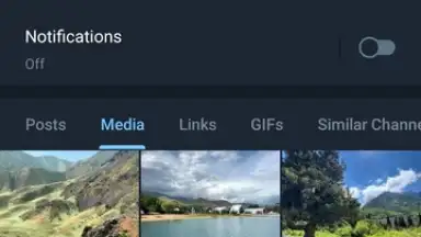 Captura de tela de Telegram (Google Play version) 5