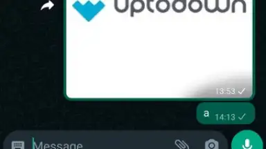 Captura de tela de WhatsApp Messenger 4
