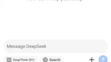 Captura de tela de DeepSeek 9