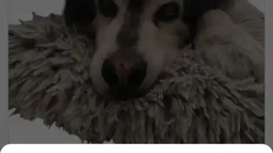 Captura de tela de PhotoRoom 8