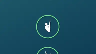 Captura de tela de Veriflite 3