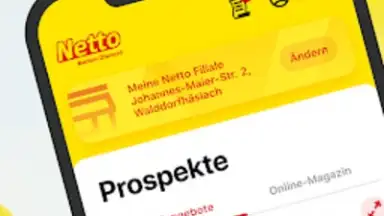 Captura de tela de Netto App 7