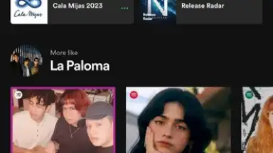 Captura de tela de Spotify 13